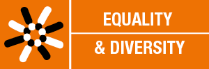 equality diversity