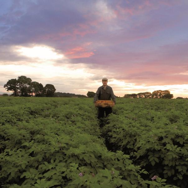 McCain Foods encourages customers to Meet the Farmers