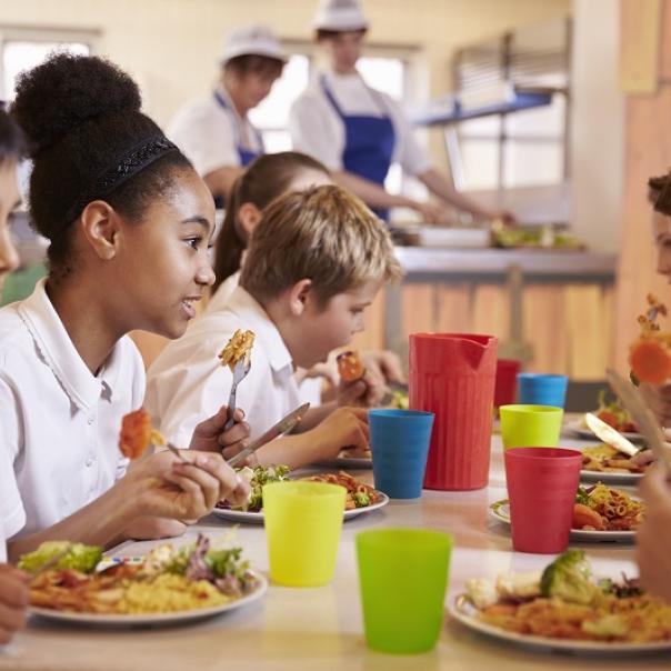 cornwall public local food procurement care homes schools