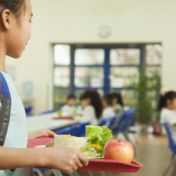 primary, school, meals